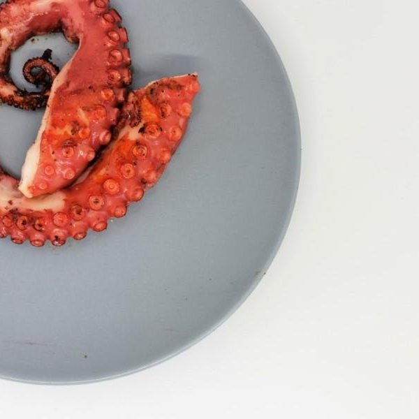 Grilled Octopus