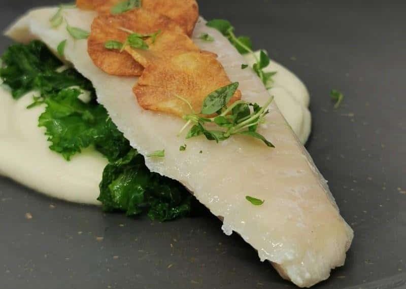 Wolffish sous vide