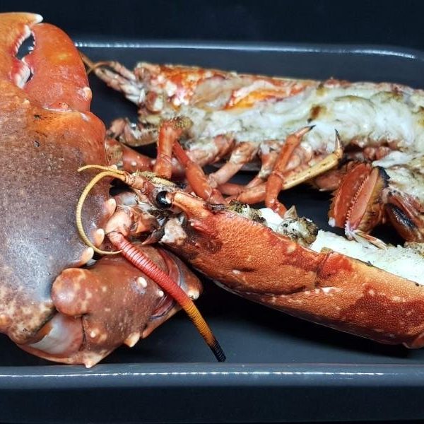 Grilled Lobster