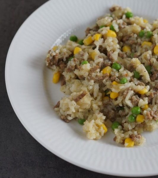 Rice and Praise (child-friendly dish with ground beef and rice)