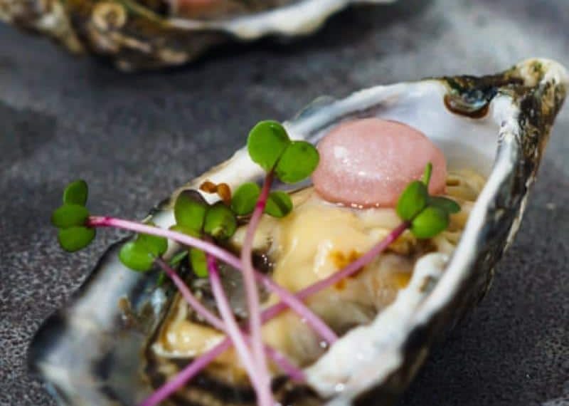 Sphere (pearl) for oysters
