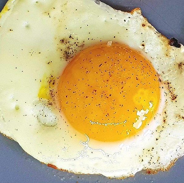 Fried Egg
