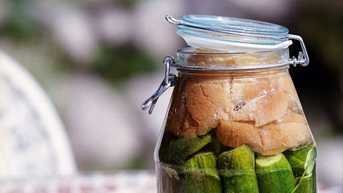Leavened_cucumbers_fermented pickles