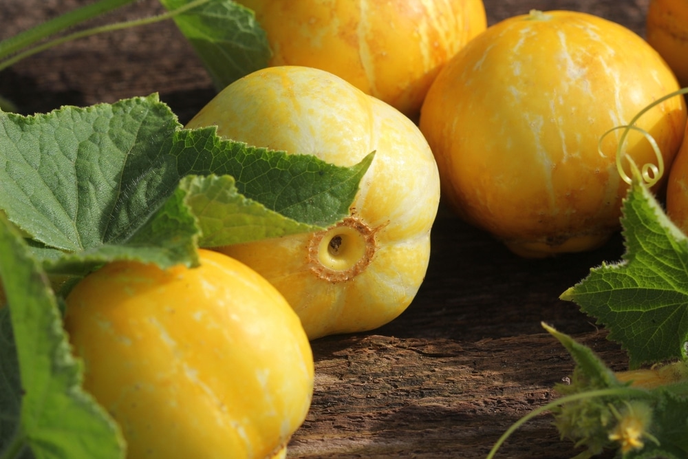 Yellow,Or,Lemon,Cucumber,At,Farmer,Market,.