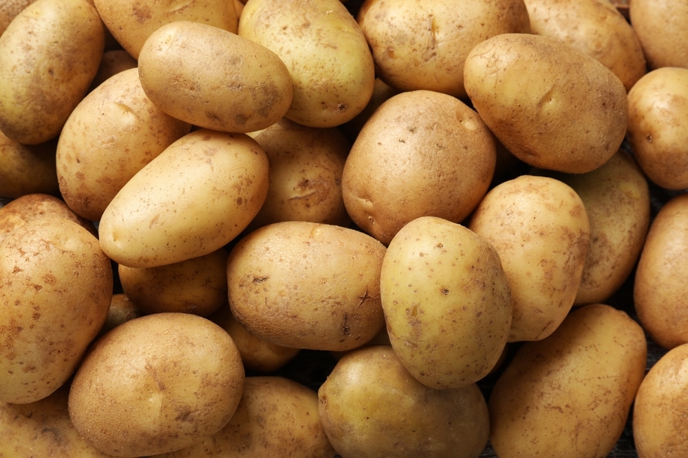 Many,Fresh,Potatoes,As,Background,,Top,View