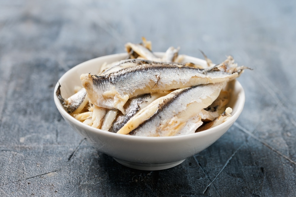 Marinated,Anchovies,In,Vinegar,In,A,White,Bowl