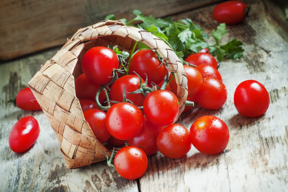 Small,Red,Cherry,Tomatoes,Spill,Out,Of,A,Wicker,Basket