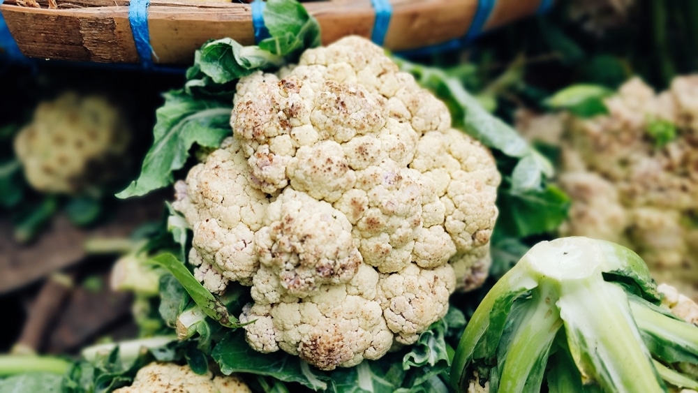 A,Scattering,Of,Pale,Brown,Spots,On,The,Cauliflower,Or