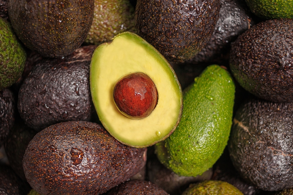 Avocado