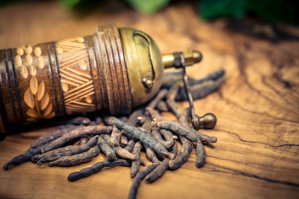 Black,Long,Pepper,Xylopia,Aethiopica,On,Olive,Wood