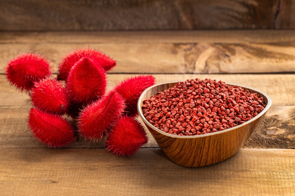 Organic,Annatto,Plant,-,Bixa,Orellana,Red,Seeds