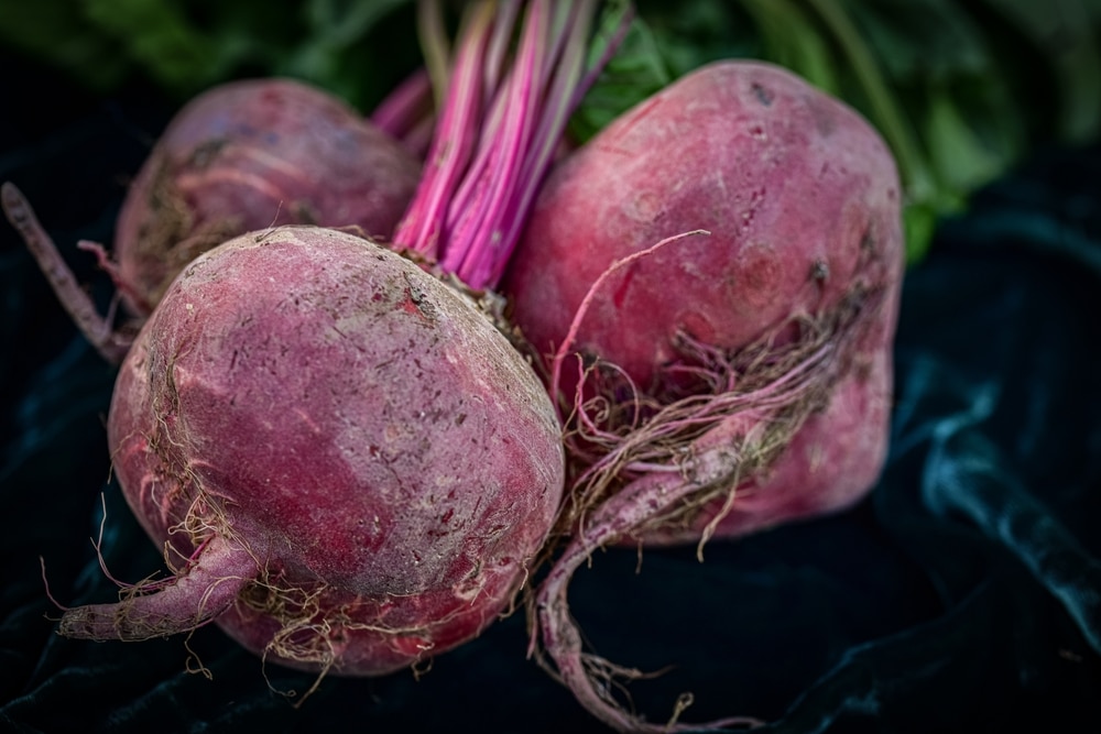 Whole,Raw,Chioggia,Beets,With,Free,Leafy,Tops