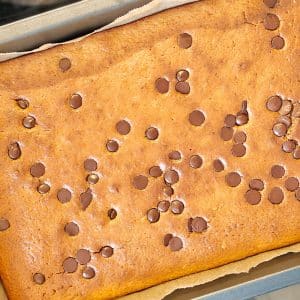 Orange coconut cake with chocolate