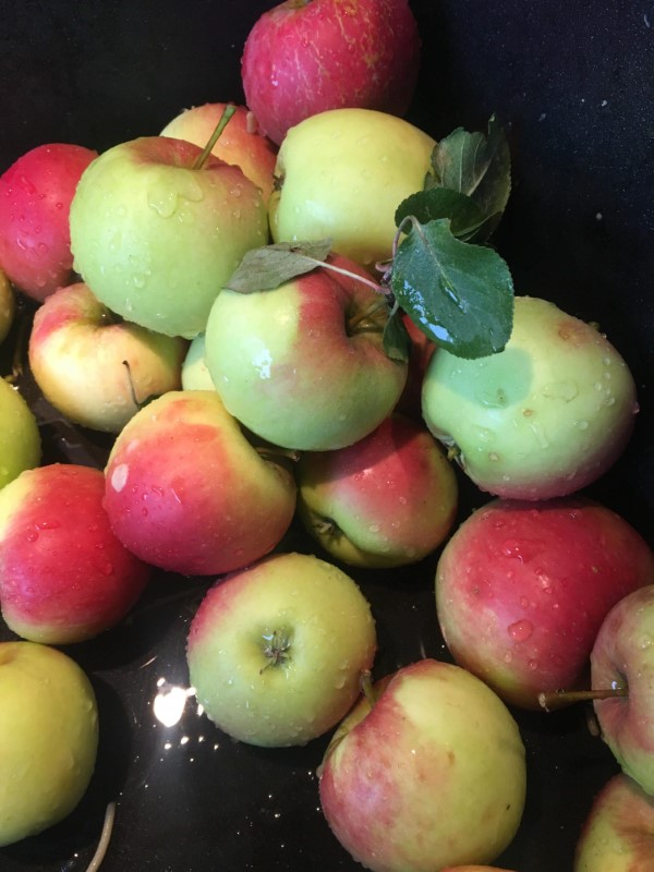 Apple Juice