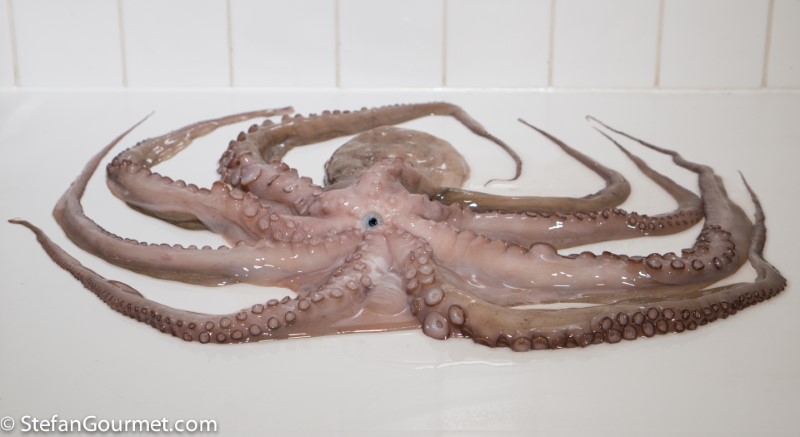 Squid sous vide