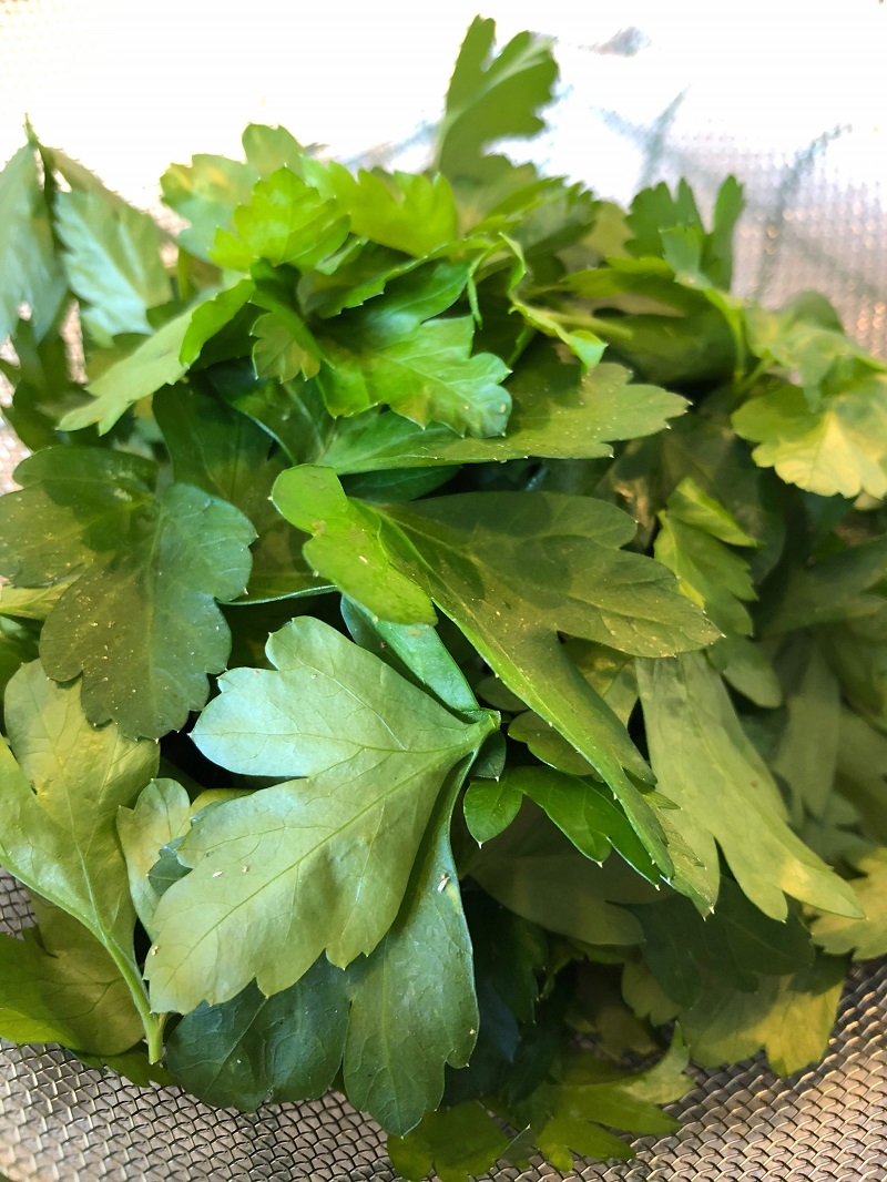 Flat-leaf parsley