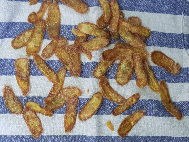Potato Peel Chips