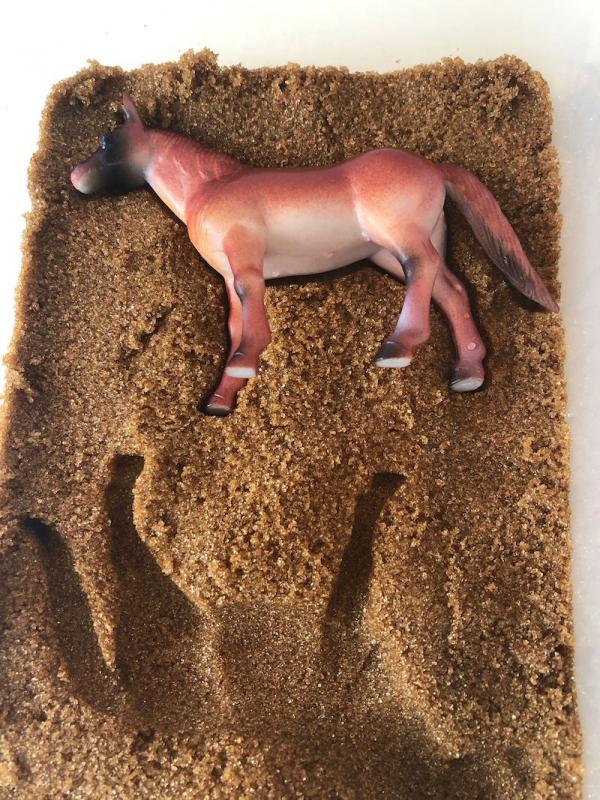 Chocolate horse molded in brown sugar