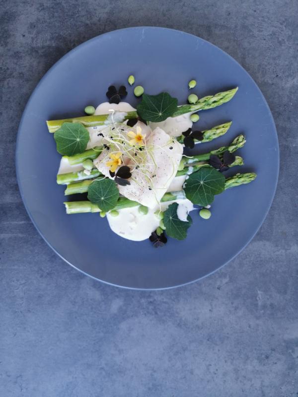 Steamed cod fillet with asparagus and cream sauce