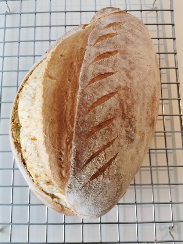 French bread