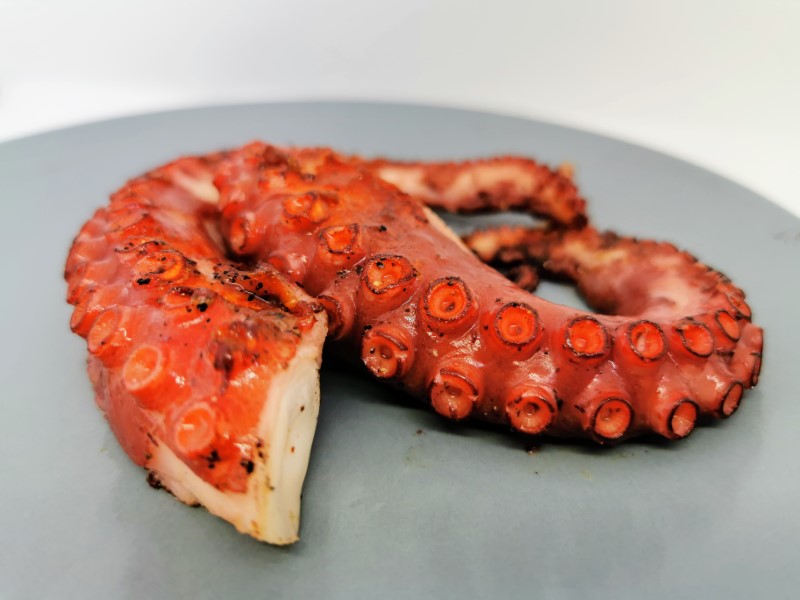 Grilled squid