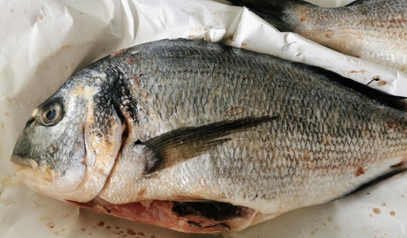Grilled sea bream