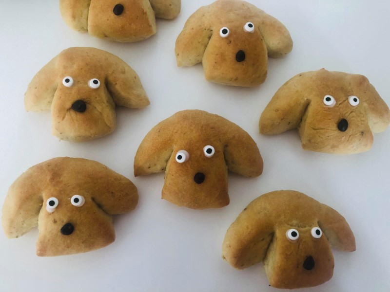Dog buns