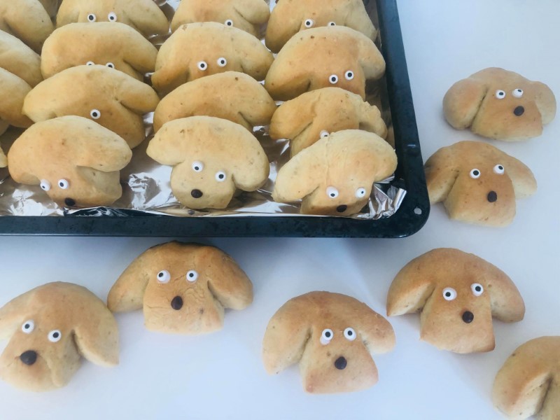 Dog buns