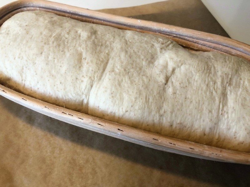 Wheat Sourdough Bread