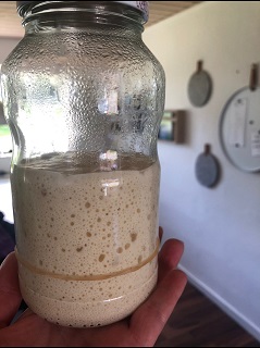 Sourdough jar with rubber band around it