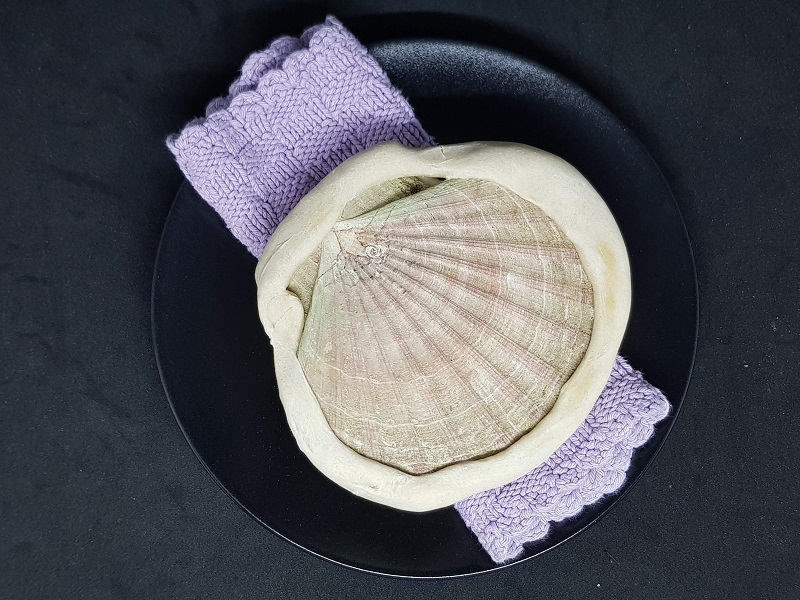 Baked scallop in its own shell