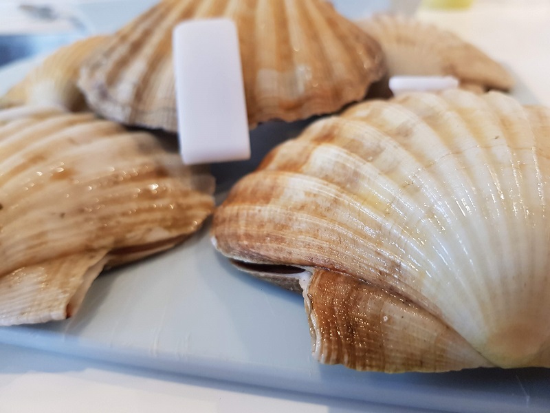 Baked scallop in its own shell