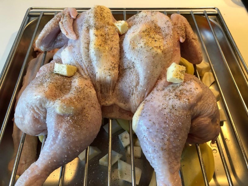 Chicken