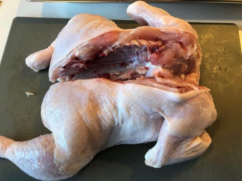 Chicken