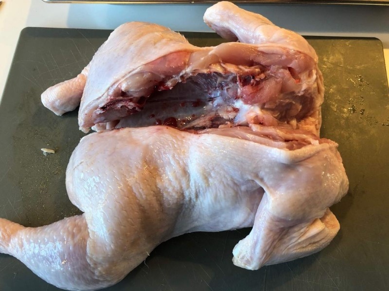 Chicken