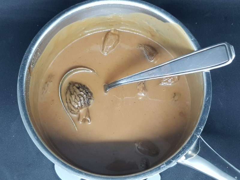 Morel sauce
