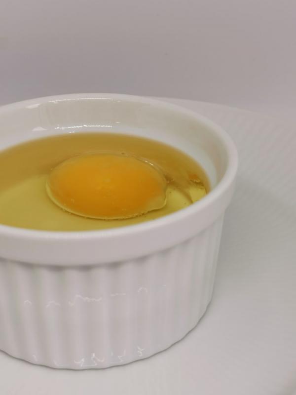 Pasta with confit duck and egg yolk