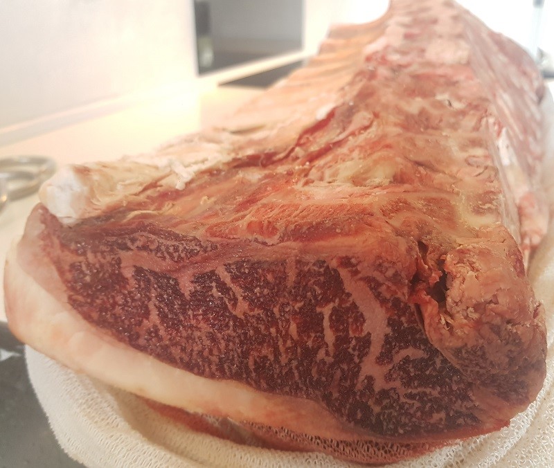 Sashi beef rib roast
