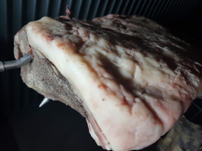 Sashi beef rib roast
