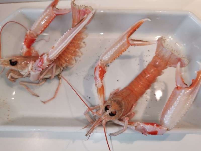 Seafood Risotto