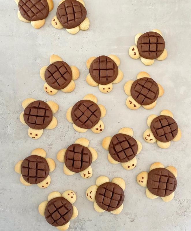 Turtle cookies