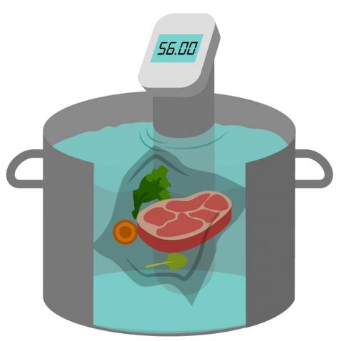 Sous Vide Wand