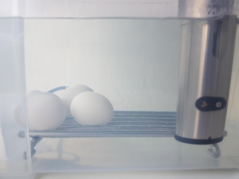 Sous vide egg