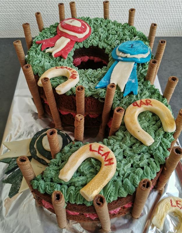 Number cake for the horse lover